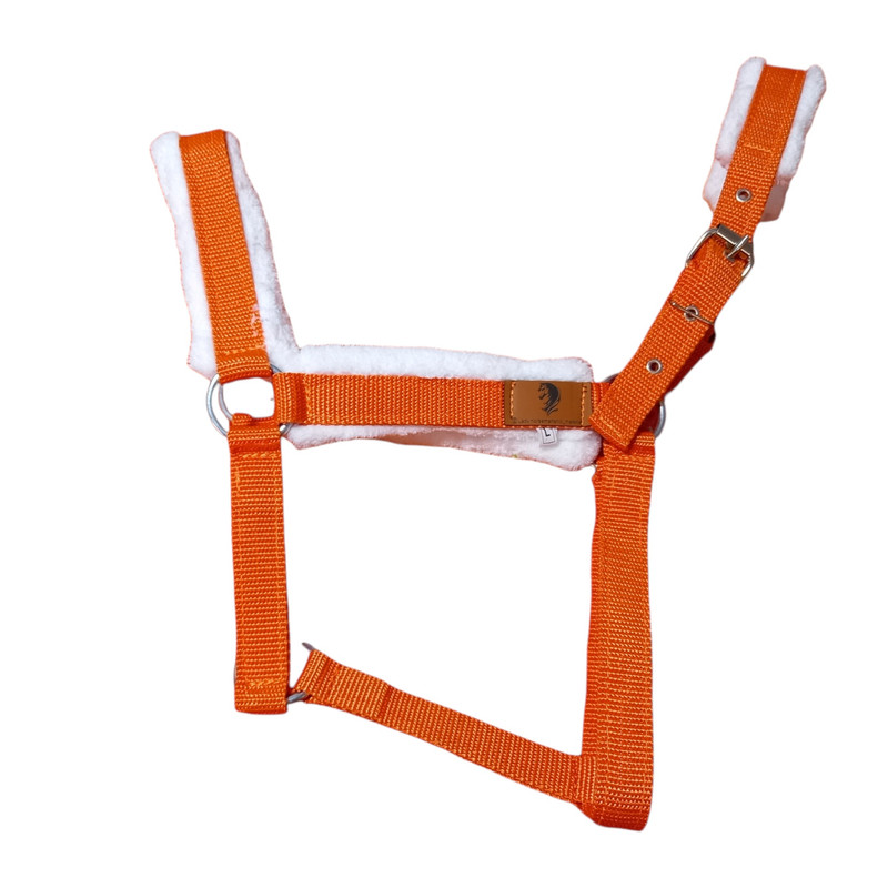 کله گیر اسب مدل M01