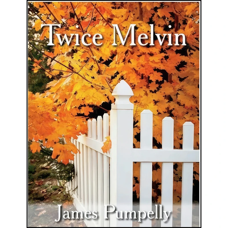 کتاب Twice Melvin  اثر James Pumpelly انتشارات BookBaby
