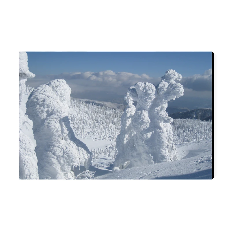تابلو شاسی عرش طرح گردشگری ژاپن مدل هیولاهای برفی در کوه زائو کد As6245