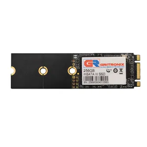 اس اس دی اینترنال گرایترونیکس مدل m SATA  ظرفیت 256 گیگابایت