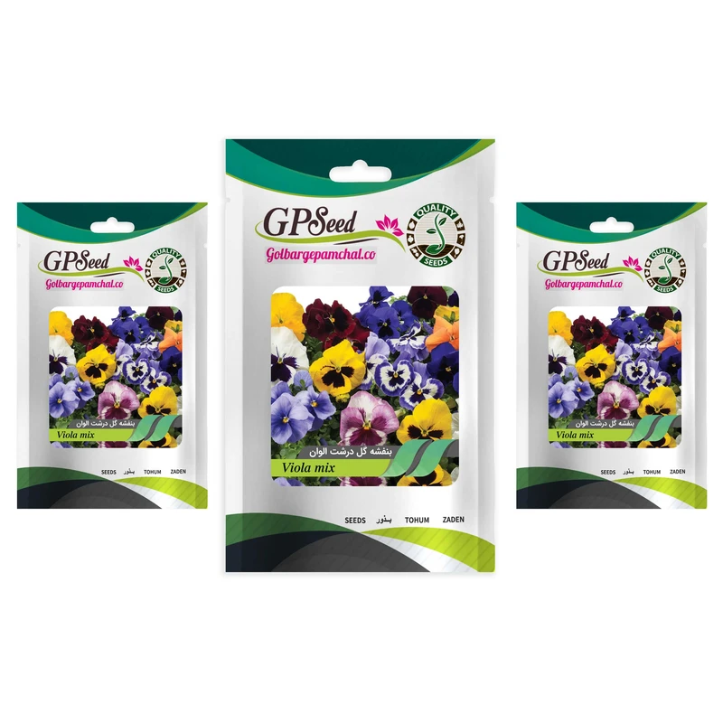 بذر گل بنفشه گل درشت الوان گلبرگ پامچال کد GPF-025 مجموعه 3 عددی