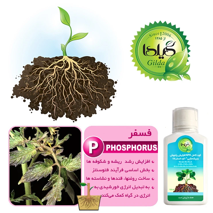 عکس شماره 8 : کود مایع کامل npk افزایش پاجوش و ریشه زایی گیلدا مدل فسفر بالا حجم 120 میلی لیتر