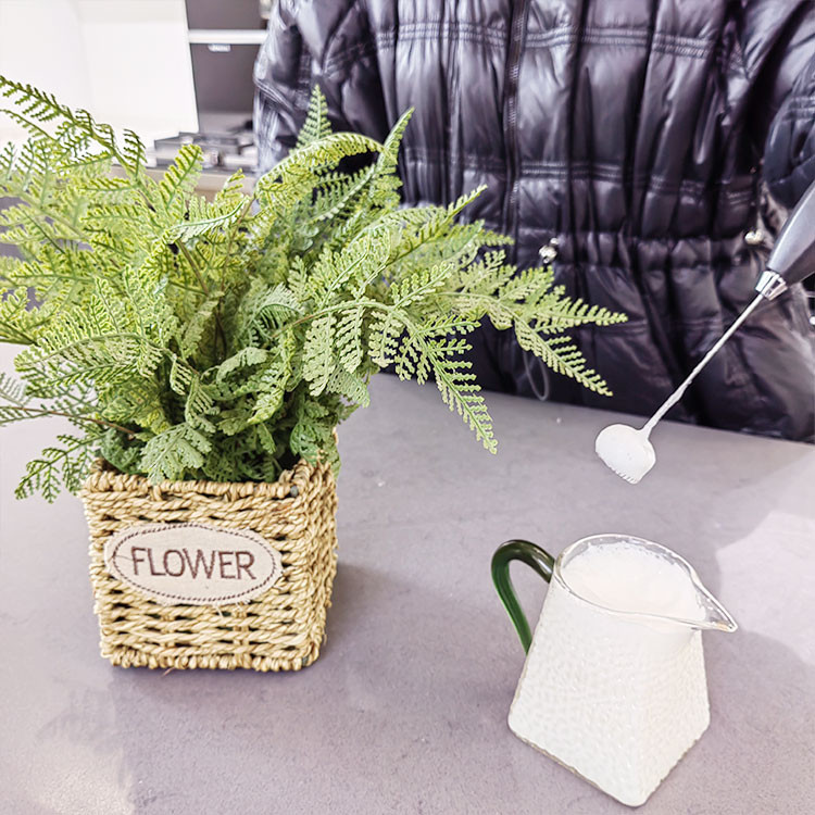 کف ساز شیر مدل لایف 01