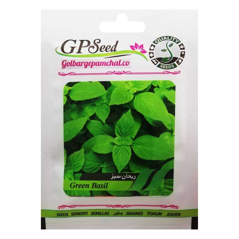 بذر ریحان سبز گلبرگ پامچال کد GPF-151