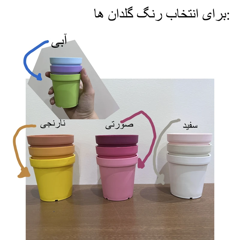 عکس شماره 5