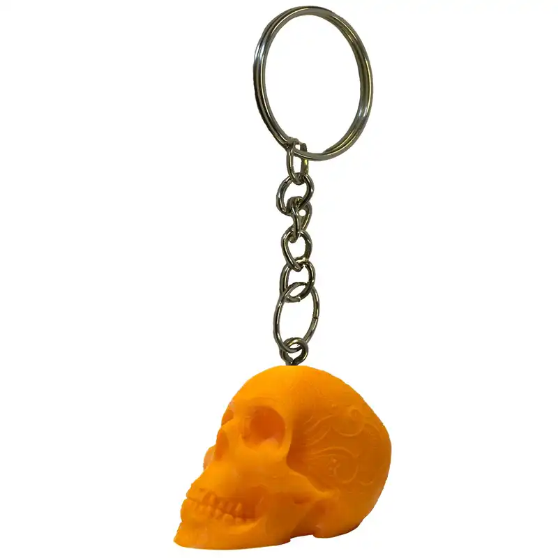 جاکلیدی مدل اسکلت جمجمه کد 1.3.1