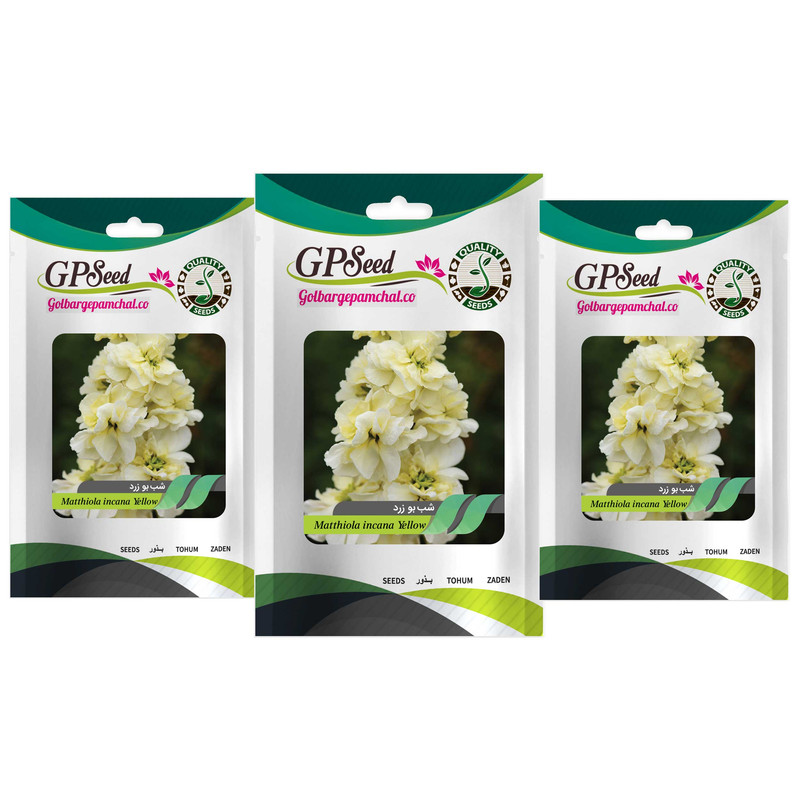 بذر گل شب بو زرد گلدانی گلبرگ پامچال کد GPF-296 مجموعه 3 عددی بذر گل شب بو زرد گلدانی گلبرگ پامچال کد GPF-296 مجموعه 3 عددی
