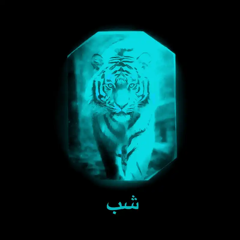 جاکلیدی مدل شب تاب BC114