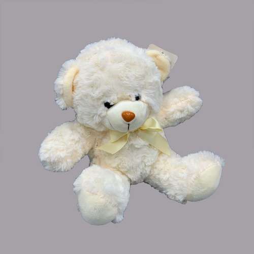 عروسک مدل  خرس تدی ارتفاع 20 سانتی متر