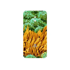 MAHOOT Atom Universe 6 Cover Sticker for Meizu M5