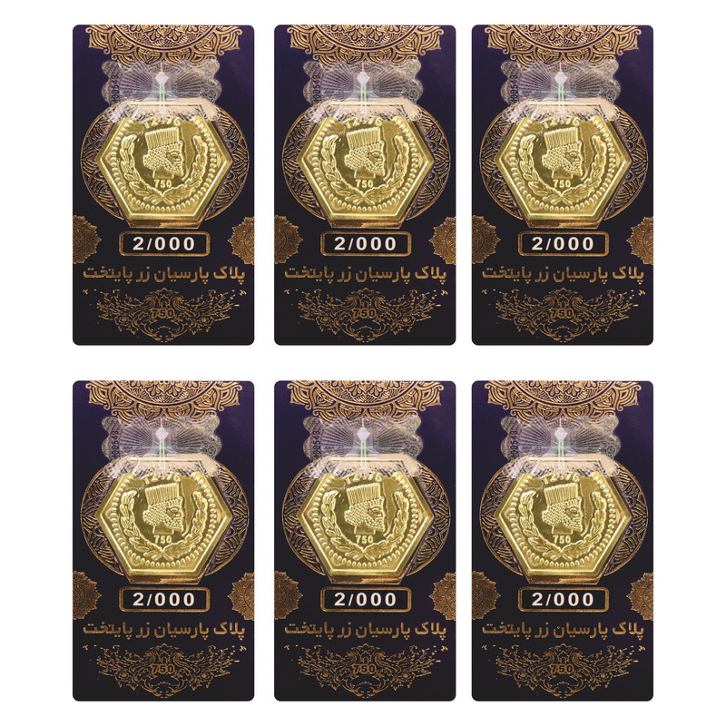 سکه گرمی 18 عیار زر پایتخت مدل ZP0012 بسته 6 عددی