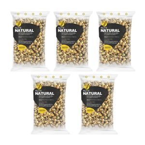 انجیر ریز نچرال - 100 گرم بسته 5 عددی