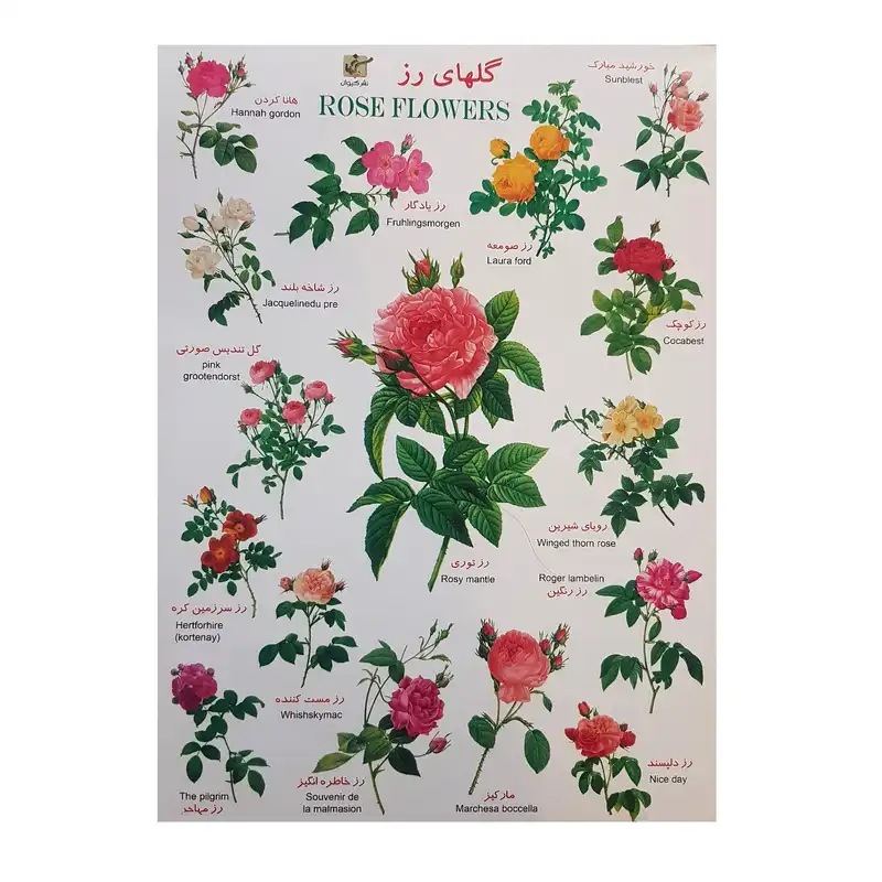 برچسب مدل گلها کد BG4