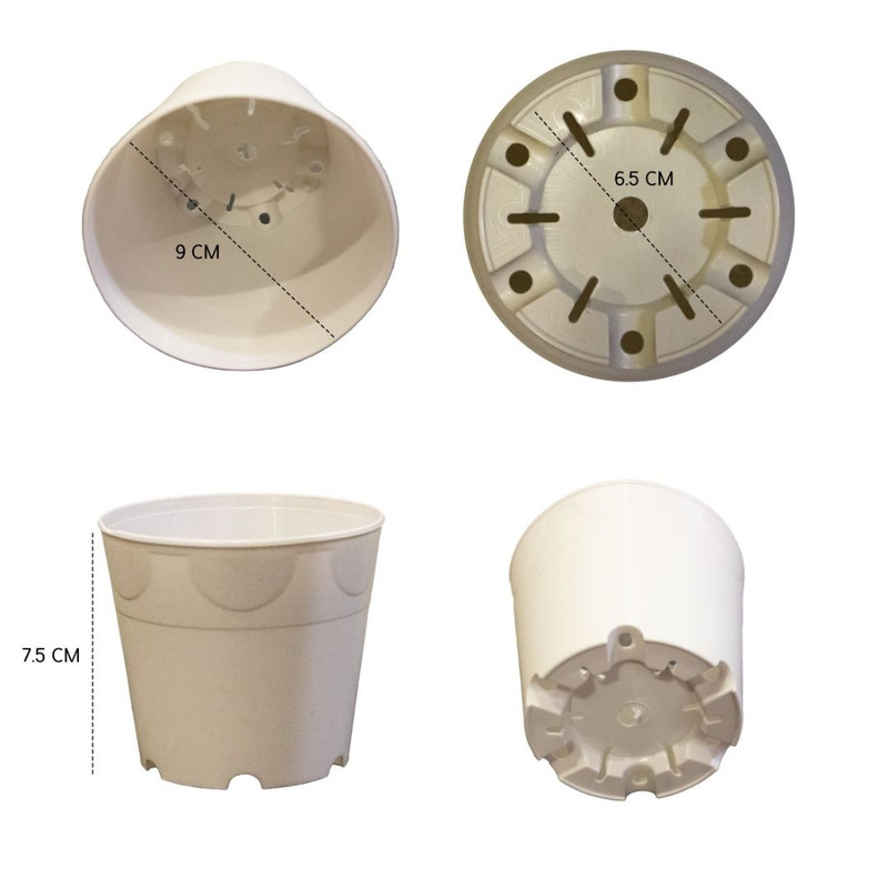 گلدان مدل وصال بنفشه آفریقایی بسته 20 عددی گلدان مدل وصال بنفشه آفریقایی بسته 20 عددی