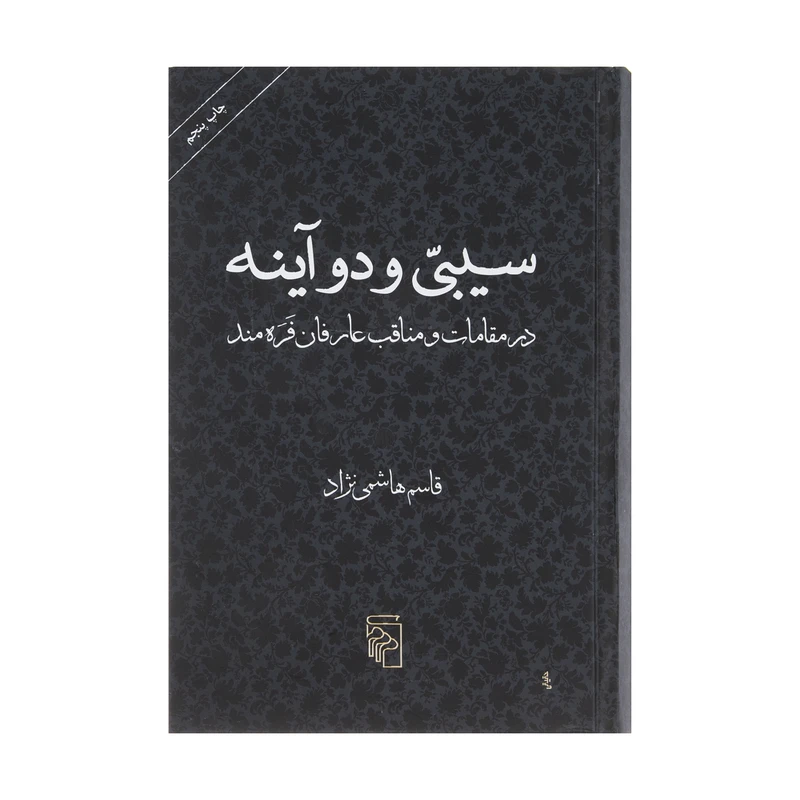 کتاب سیبی و دو آینه اثر قاسم هاشمی نژاد نشر مرکز