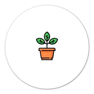 استیکر آکام مدل AS0001183