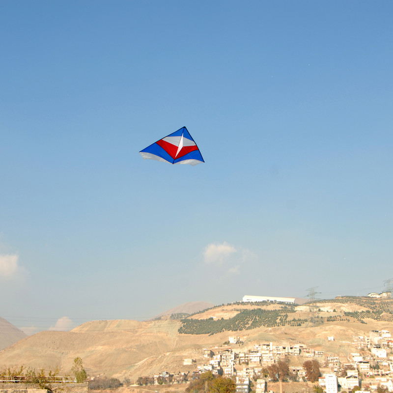 بادبادک مدل DL-02