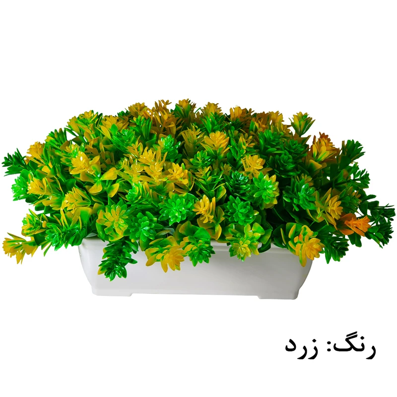 عکس شماره 4