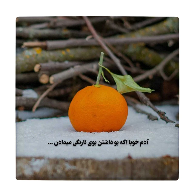 زیر لیوانی طرح نارنگی بر روی برف کد    4071996_2715