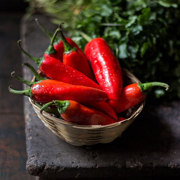 بذر فلفل پاپریکا قرمز وانیا سید مدل F30 بذر فلفل پاپریکا قرمز وانیا سید مدل F30