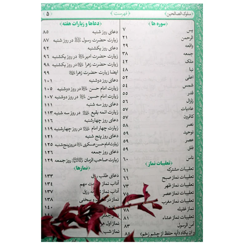 عکس شماره 2