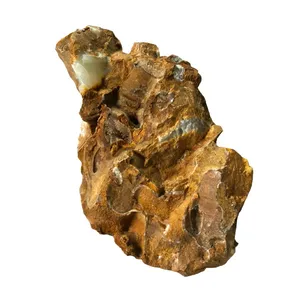 سنگ تزیینی آکواریوم مدل s-t-ton