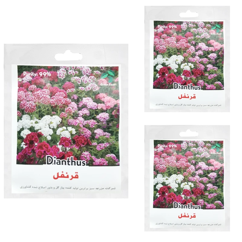 بذر گل قرنفل گرین فارم کد GRNF-L بسته 3 عددی