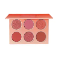 پالت رژ گونه مات شگلم مدل Floral Flush شماره Multicolor