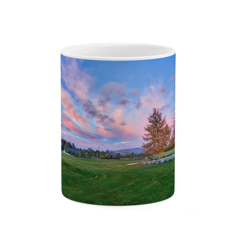 ماگ کاکتی مدل منظره کد mgh15242