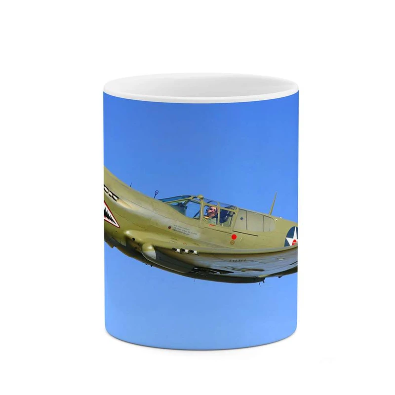 ماگ کاکتی مدل هواپیمای جنگنده کد mgh10668