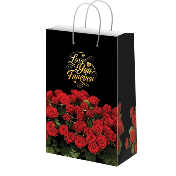 ساک هدیه مدل 10064 بسته 12 عددی