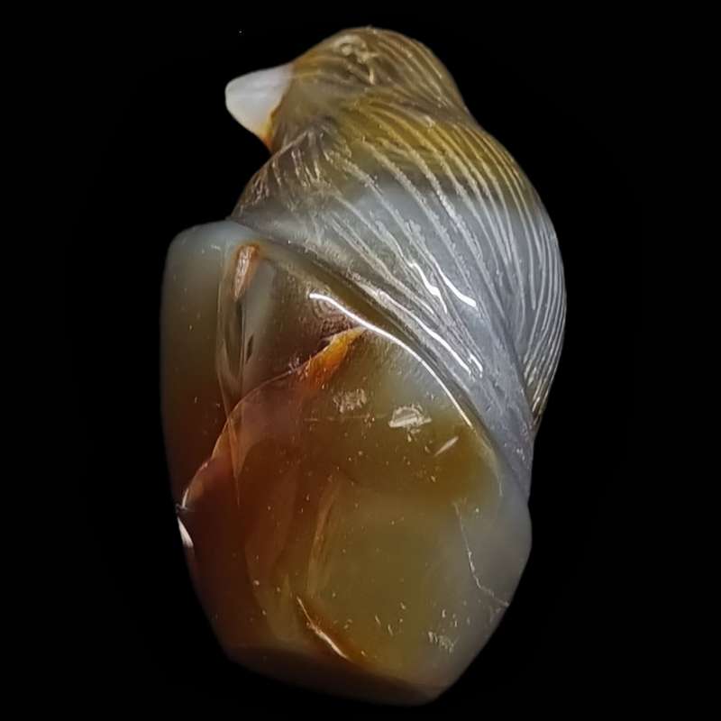 سنگ راف مدل گنجشک سنگ راف مدل گنجشک