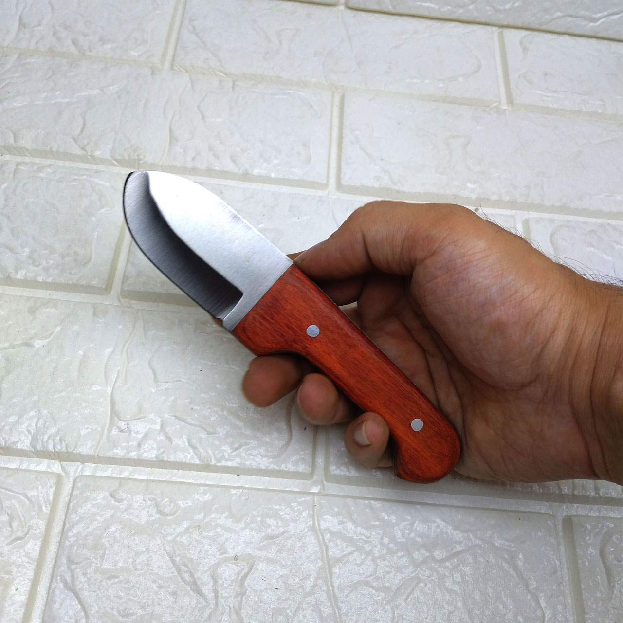 چاقو آشپزخانه  مدل پوست کنی کد STN014791