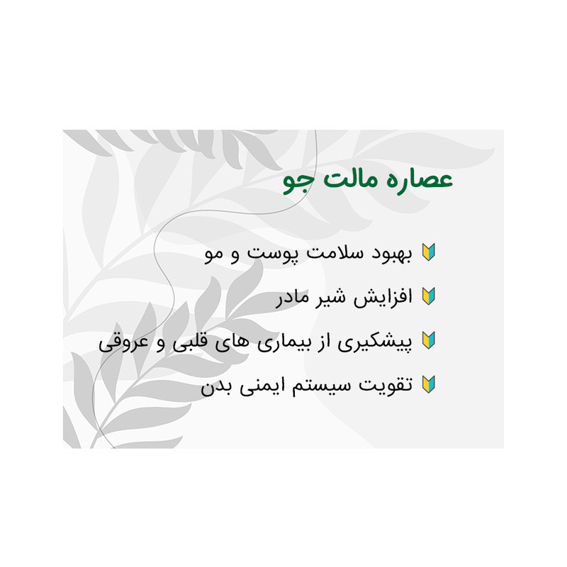 پودر عصاره مالت جو دهکده سبز سلامت - 170 گرم