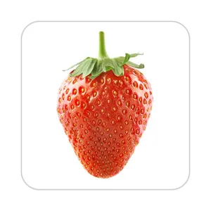 زیر لیوانی کاکتی طرح میوه مدل mp20867