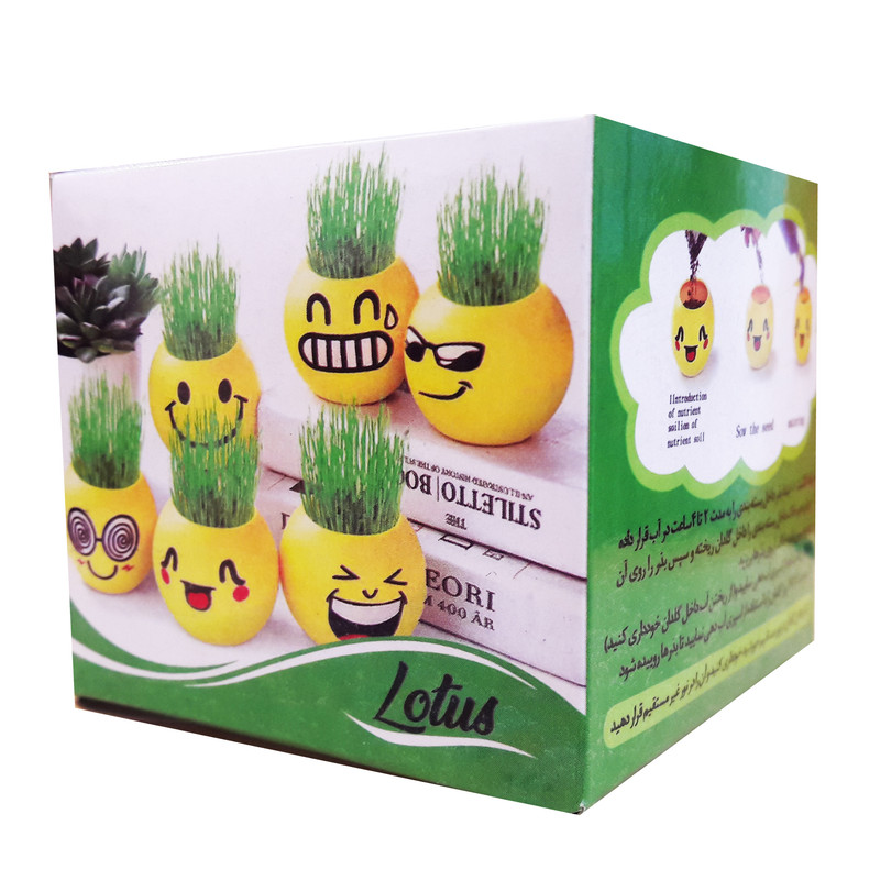 گلدان مدل ایموجی 3