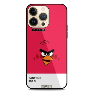 AKAM AMC-WA13PRO-ANGRY BIRDS11 Cover For Apple iPhone 13 Pro