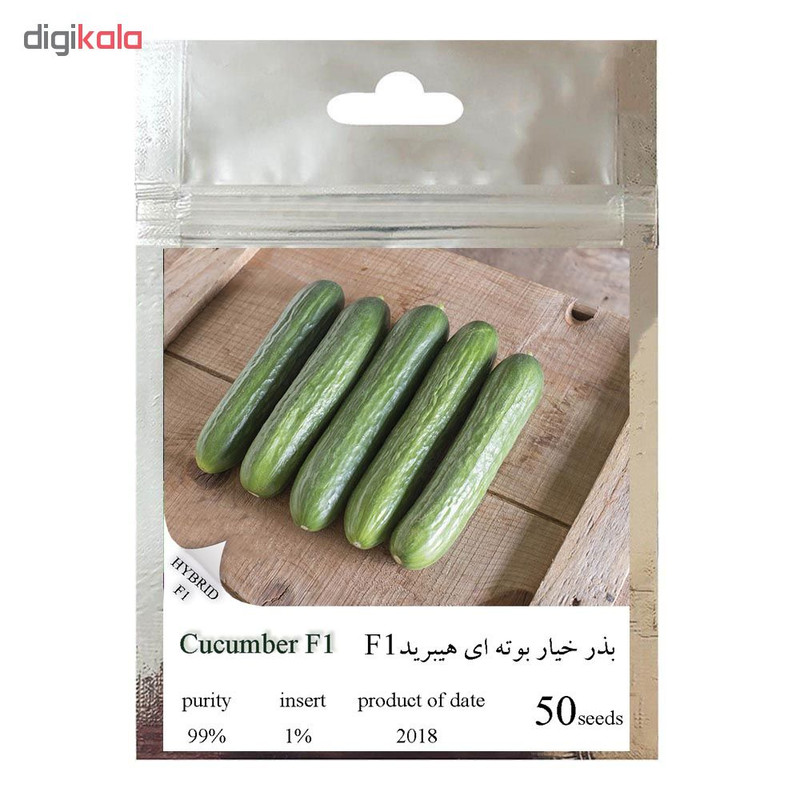 بذر خیار بوته ای هیبرید کد 111 بذر خیار بوته ای هیبرید کد 111