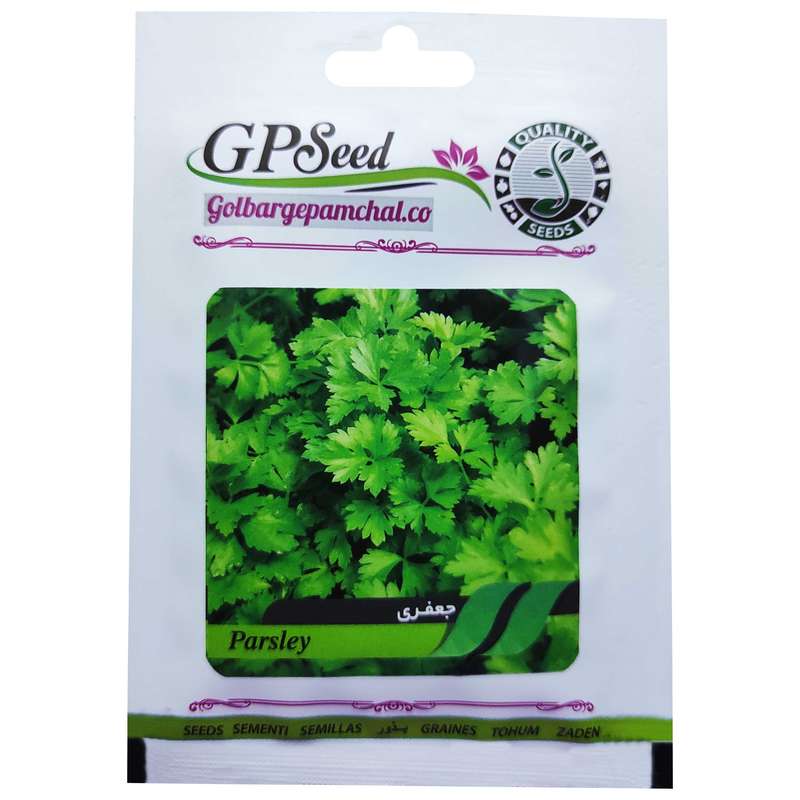 بذر جعفری گلبرگ پامچال کد GPF-149