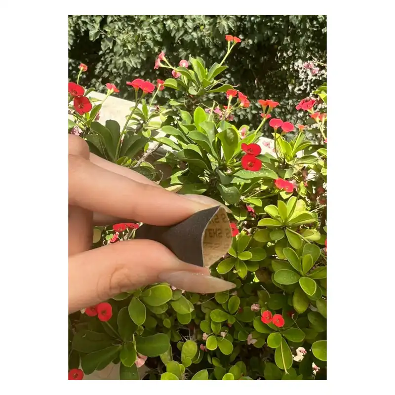 سوهان ناخن استالکس مدل Pap-mam.240 کد 240