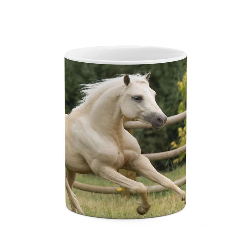 ماگ کاکتی مدل اسب کد mgh24175