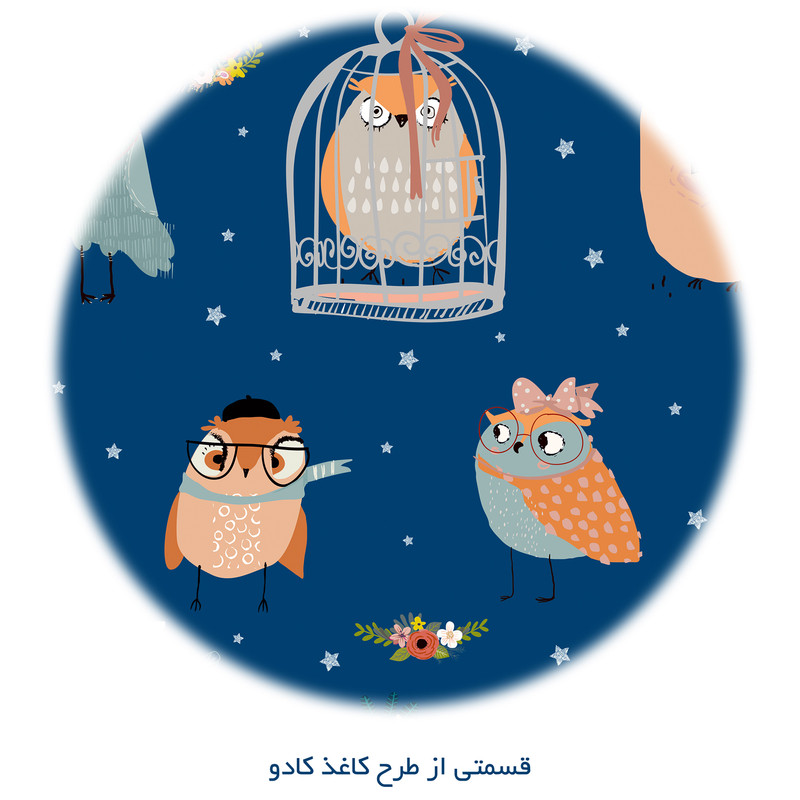 کاغذ کادو طرح جغد کد 147 بسته پنج عددی کاغذ کادو طرح جغد کد 147 بسته پنج عددی