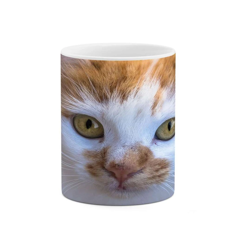 ماگ کاکتی مدل گربه کد mgh16660