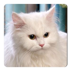 نقد و بررسی مگنت طرح گربه پرشین کد NIM2525 توسط خریداران