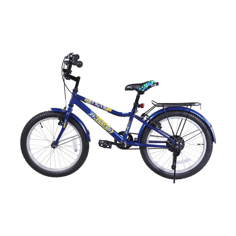 دوچرخه کودک شهری آساک مدل سپهر کد B-209-5200635 سایز طوقه 20 اینچ