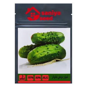 بذر خیار درختی خاردار سانیا سید مدل D2