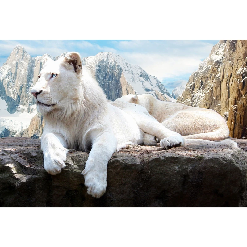 تابلو شاسی طرح شیر و کوهستان و برف مدل T1628