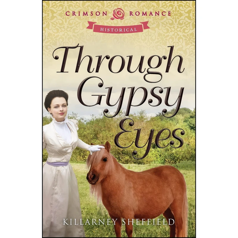 کتاب Through Gypsy Eyes  اثر Killarney Sheffield انتشارات Adams Media