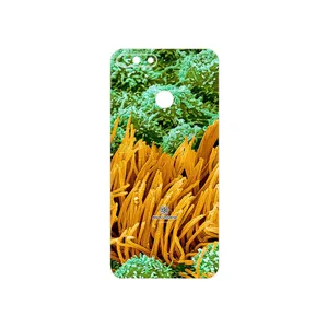 MAHOOT Atom Universe 6 Cover Sticker for Honor 7A