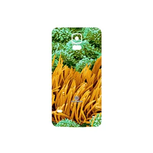 MAHOOT Atom Universe 6 Cover Sticker for Samsung Galaxy S5